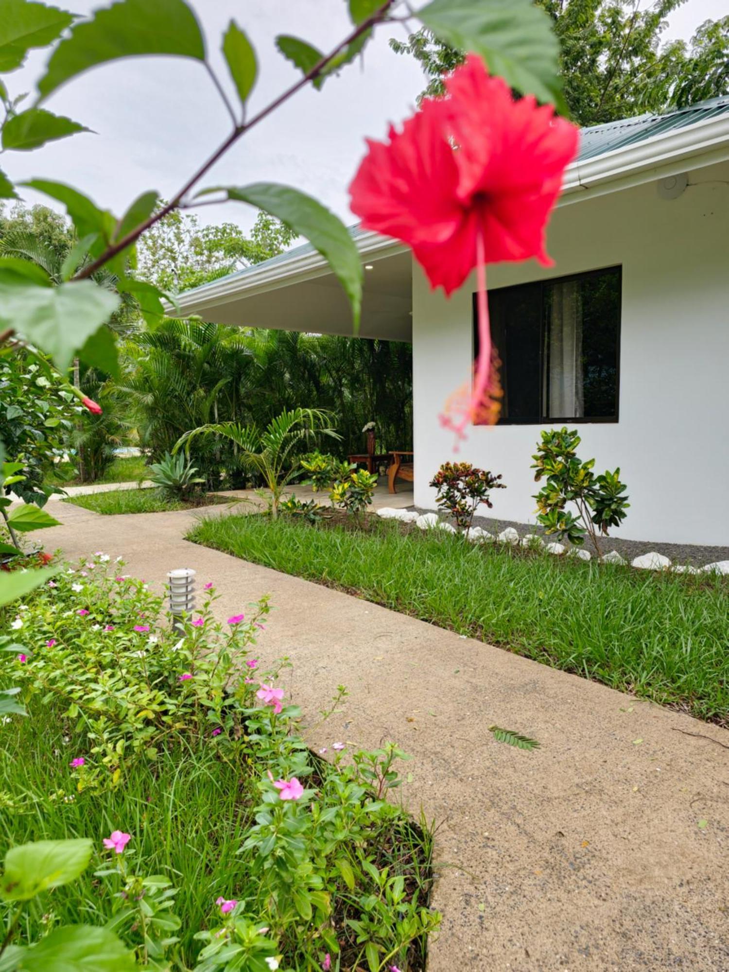 Buddha Retreat Hotel San Juanillo 外观 照片
