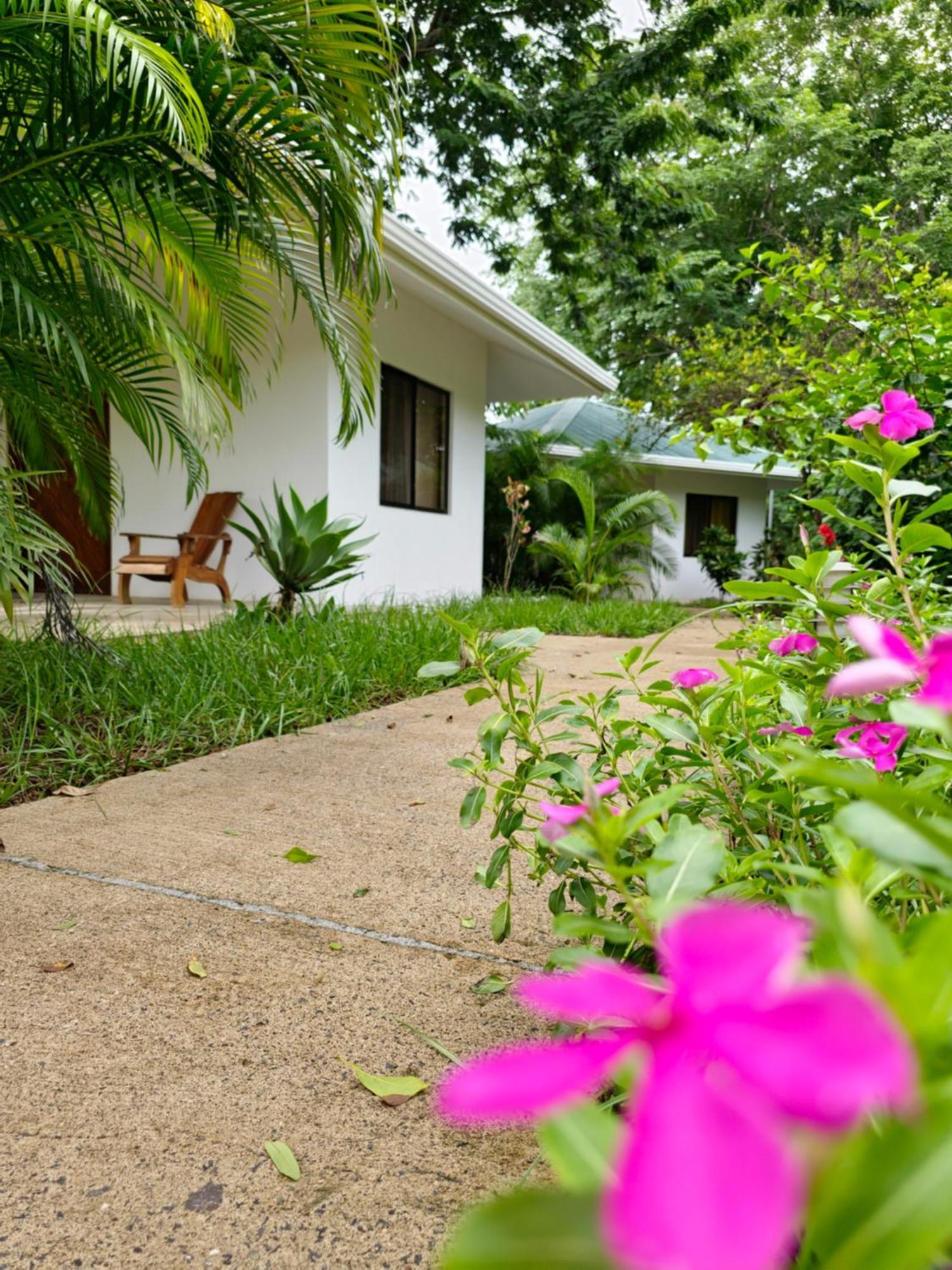 Buddha Retreat Hotel San Juanillo 外观 照片
