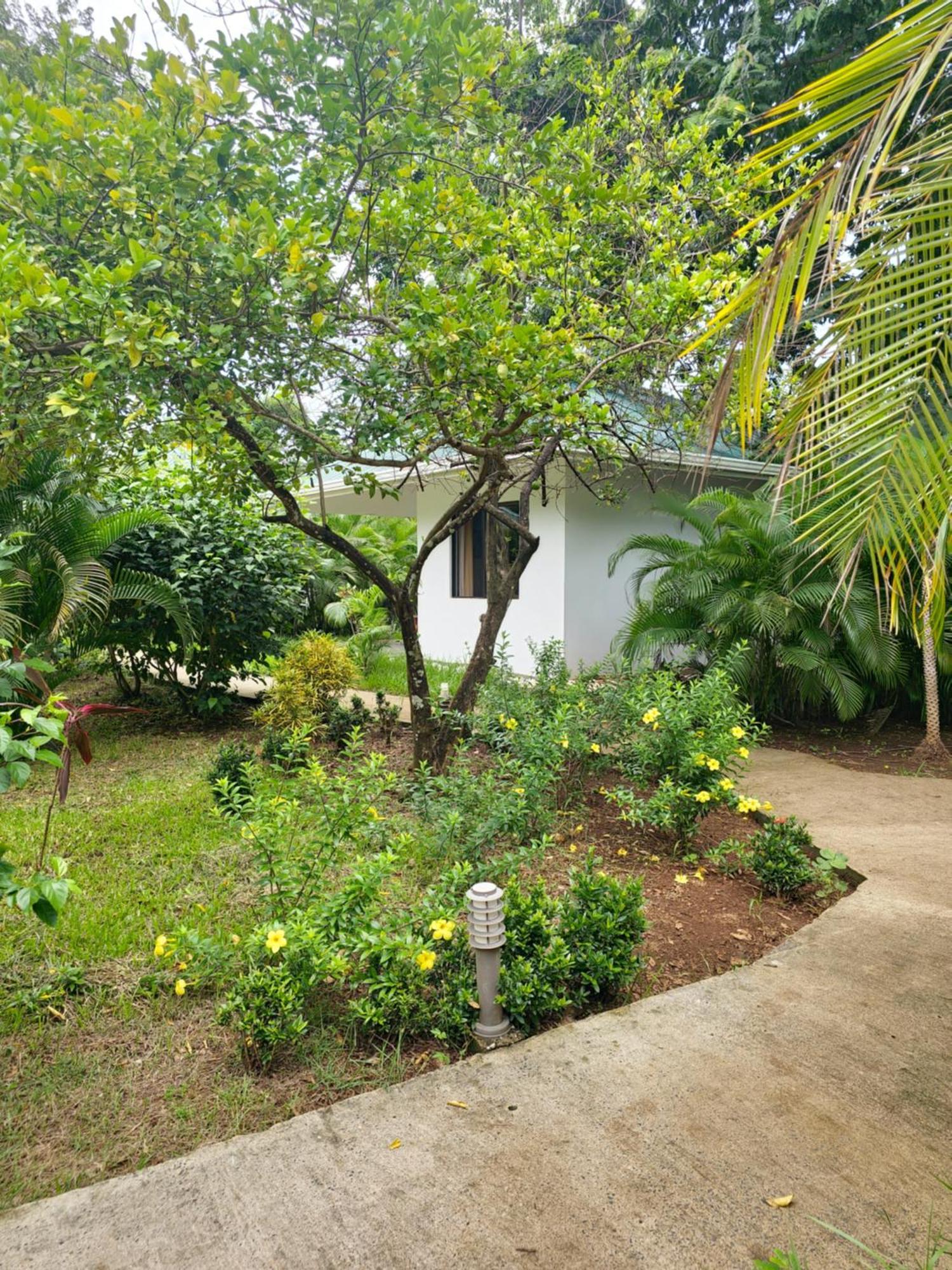 Buddha Retreat Hotel San Juanillo 外观 照片