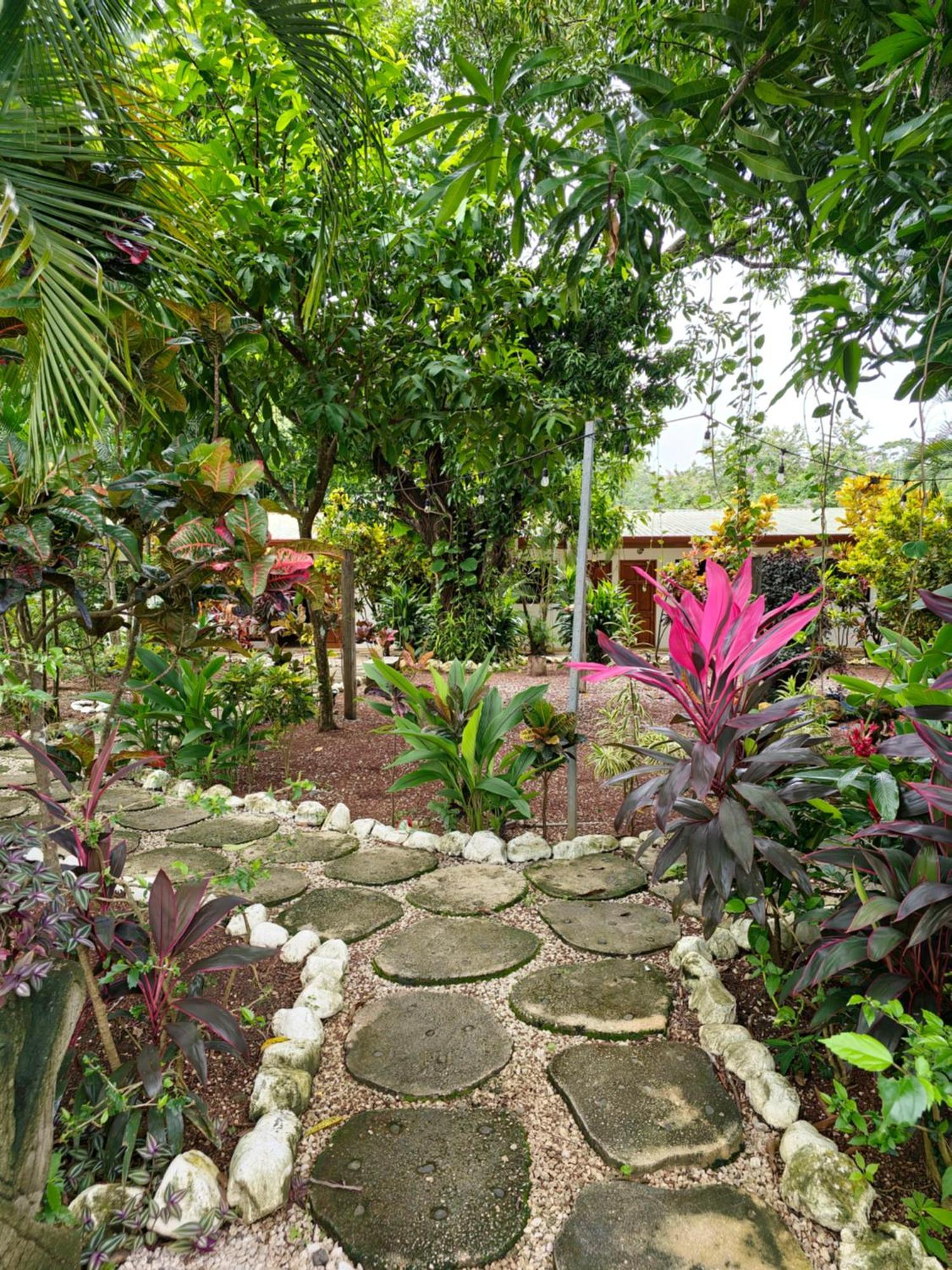 Buddha Retreat Hotel San Juanillo 外观 照片